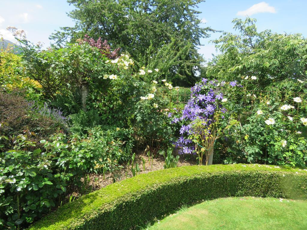 ハンマー・スプリングス Marchmont Gardens Bed & Breakfast エクステリア 写真