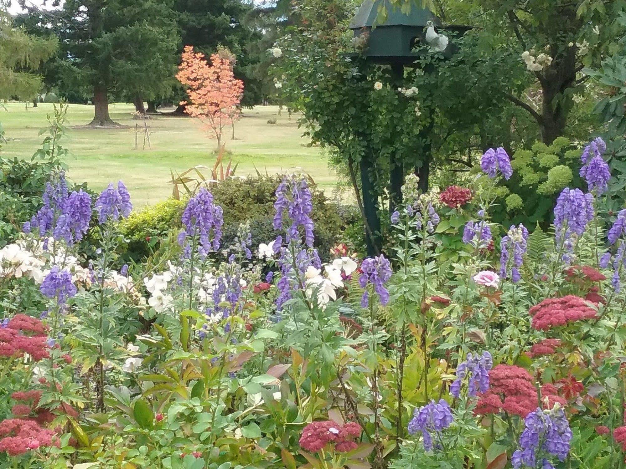ハンマー・スプリングス Marchmont Gardens Bed & Breakfast エクステリア 写真